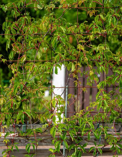 Rabatt Entré Höger